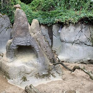Aalborg Zoo - Meerkat exhibit