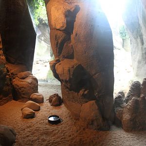 Aalborg Zoo - Meerkat exhibit