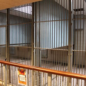 Aalborg Zoo - Carnivore House (Lion)