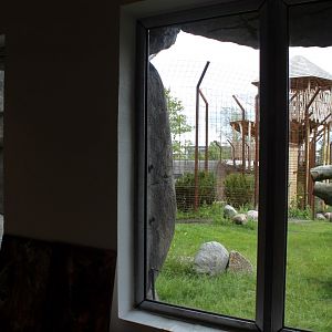 Aalborg Zoo - Carnivore House (Lion)