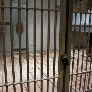 Aalborg Zoo - Carnivore House (Tiger)