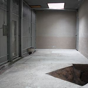 Aalborg Zoo - Carnivore House (Tiger)