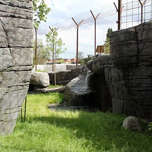 Aalborg Zoo - Tiger exhibit (2)