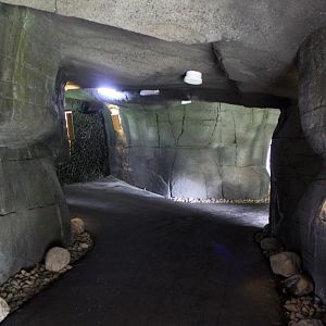 Aalborg Zoo - Tiger exhibit