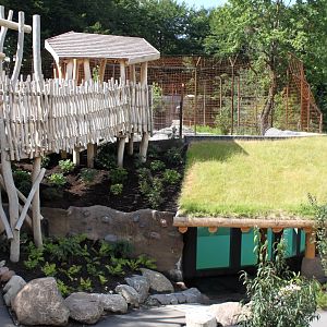 Aalborg Zoo - Tiger exhibit