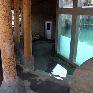 Aalborg Zoo - Tiger exhibit (1)