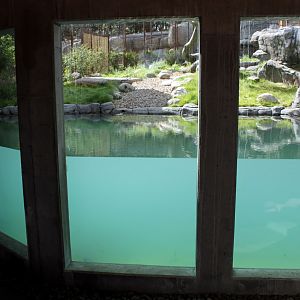 Aalborg Zoo - Tiger exhibit (1)