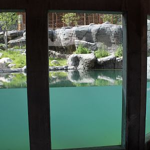 Aalborg Zoo - Tiger exhibit (1)