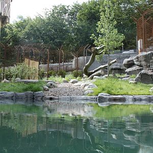 Aalborg Zoo - Tiger exhibit (1)