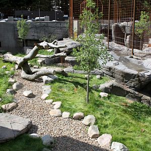 Aalborg Zoo - Tiger exhibit (1)