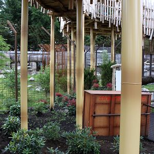 Aalborg Zoo - Lion/tiger exhibits