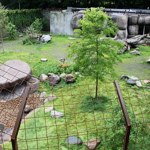Aalborg Zoo - Lion exhibit