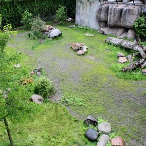 Aalborg Zoo - Lion exhibit