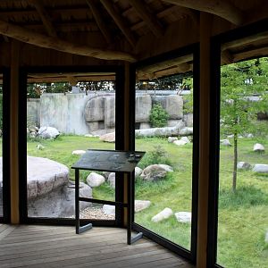 Aalborg Zoo - Lion exhibit