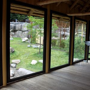 Aalborg Zoo - Lion exhibit