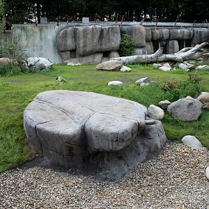 Aalborg Zoo - Lion exhibit