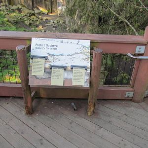 Great Northwest - Cascade Crest