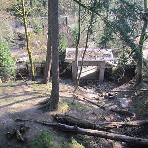 Great Northwest - Black Bear Ridge