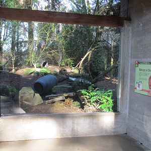 Great Northwest - Black Bear Ridge