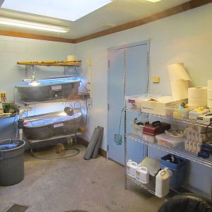 Great Northwest - Cascade Stream and Pond