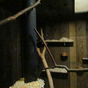 Great Northwest - Cascade Stream and Pond