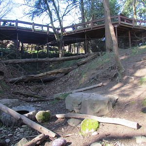 Great Northwest - Black Bear Ridge