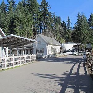 Great Northwest - Trillium Creek Family Farm