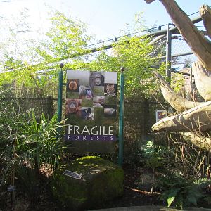 Fragile Forests - Entrance