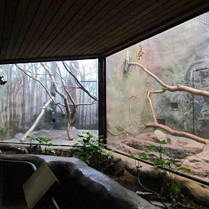 Fragile Forests - Empty Exhibits