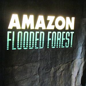 Fragile Forests - Amazon Flooded Forest