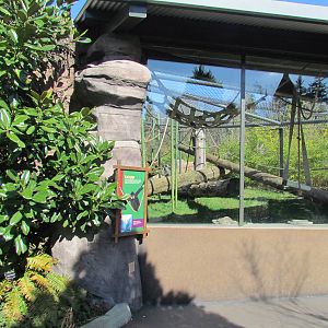 Fragile Forests - Red Ape Reserve