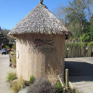 Africa - Predators of the Serengeti