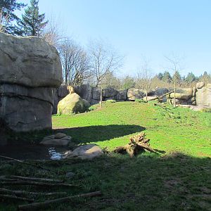 Africa - Predators of the Serengeti