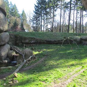 Africa - Predators of the Serengeti