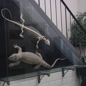 one of the many educational displays