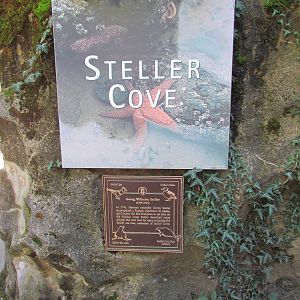 Pacific Shores - Steller Cove