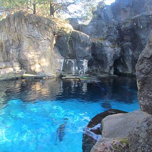 Pacific Shores - Steller Cove