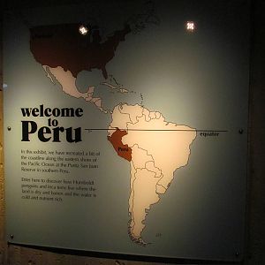 Pacific Shores - Penguinarium