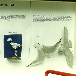 Signage 30th October 1997