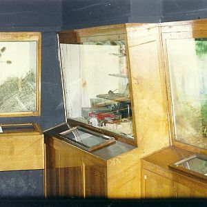 Rodent House 30th October 1997