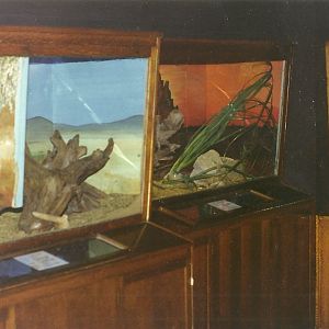 Rodent House 30th October 1997