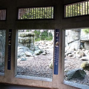 Aalborg Zoo - Polar Bear Exhibit