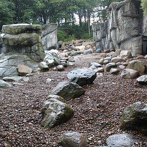 Aalborg Zoo - Polar Bear Exhibit
