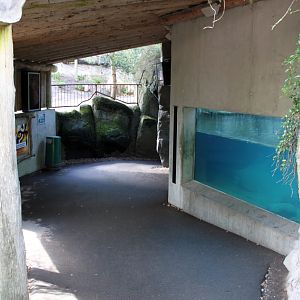 Aalborg Zoo - Polar Bear Exhibit
