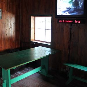 Aalborg Zoo - Polar Bear Exhibit