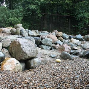 Aalborg Zoo - Polar Bear Exhibit