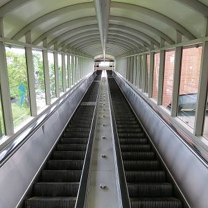 Zoo Entrance - Escalator