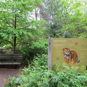 Asian Forest - Entry Sign
