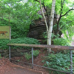 Asian Forest - Amur Tiger Exhibit Sign