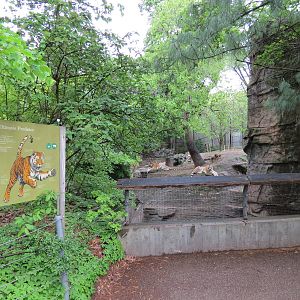Asian Forest - Amur Tiger Exhibit Viewing Area